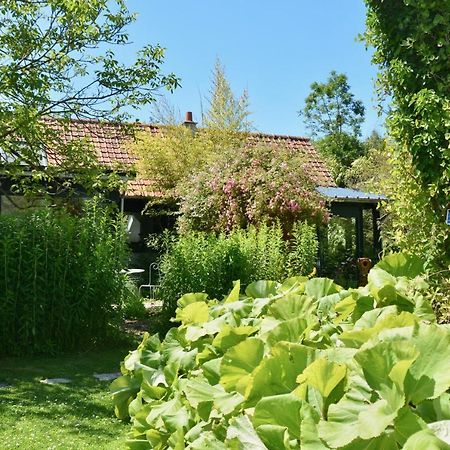 Chambres D'Hotes, Gites La Petite Madeleine La Madelaine-sous-Montreuil ภายนอก รูปภาพ